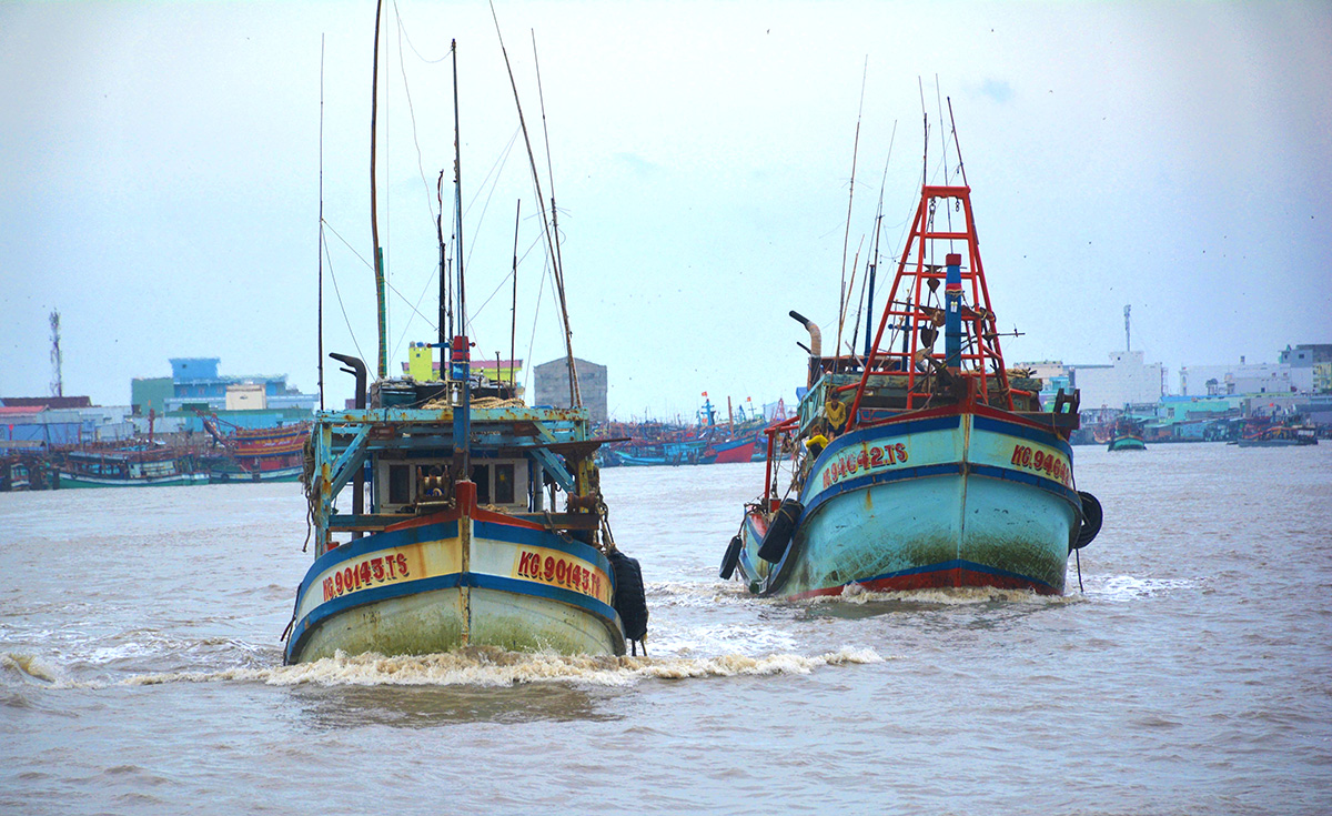 Ngư dân Việt Nam vẫn chưa có ý thức về luật khai thác thủy sản