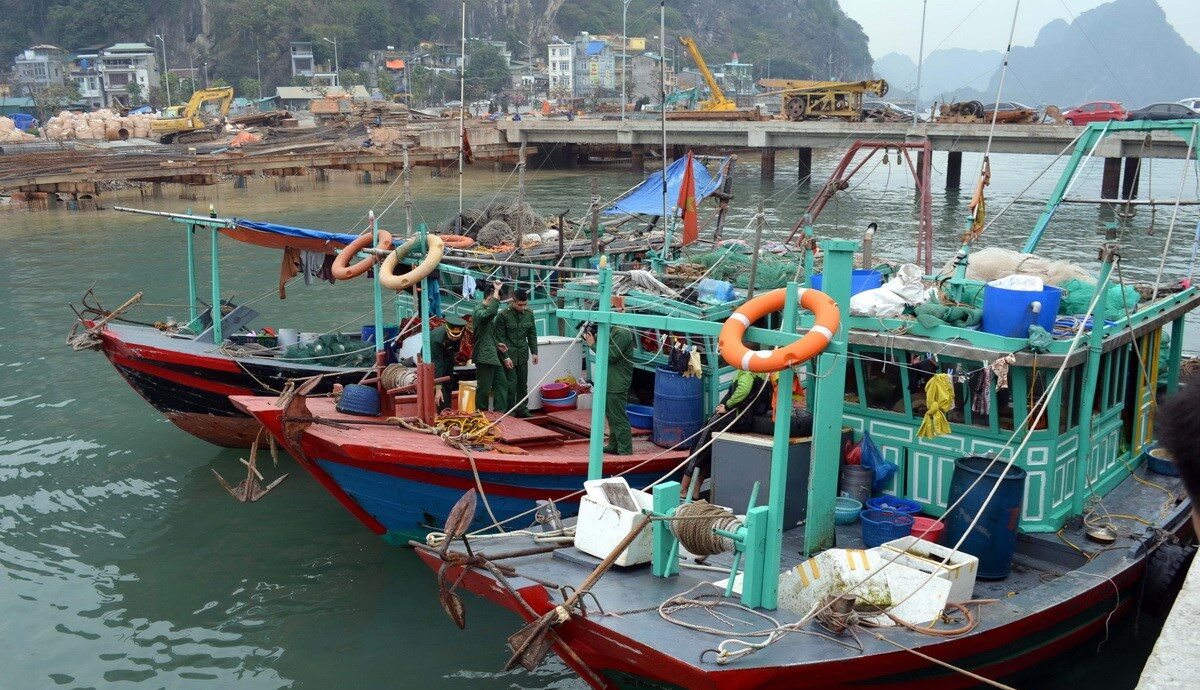 Tình hình tàu cá ở Việt Nam vi phạm khai thác vẫn nhiều