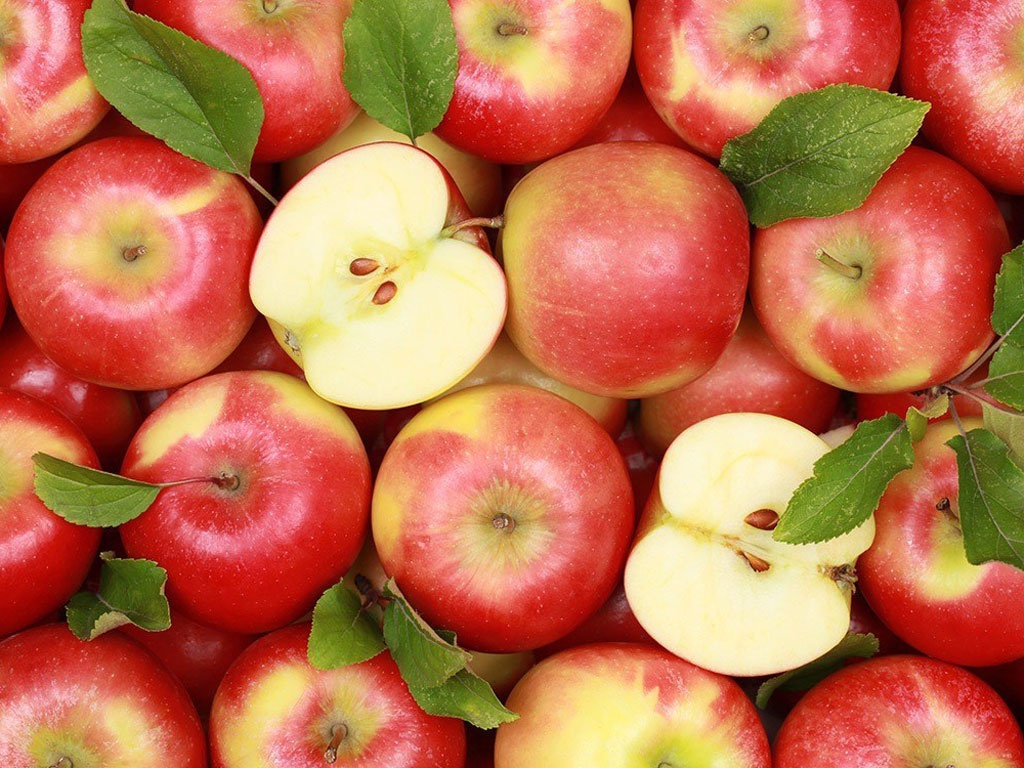 Quả táo chứa nhiều vi lượng tốt cho sức khỏe