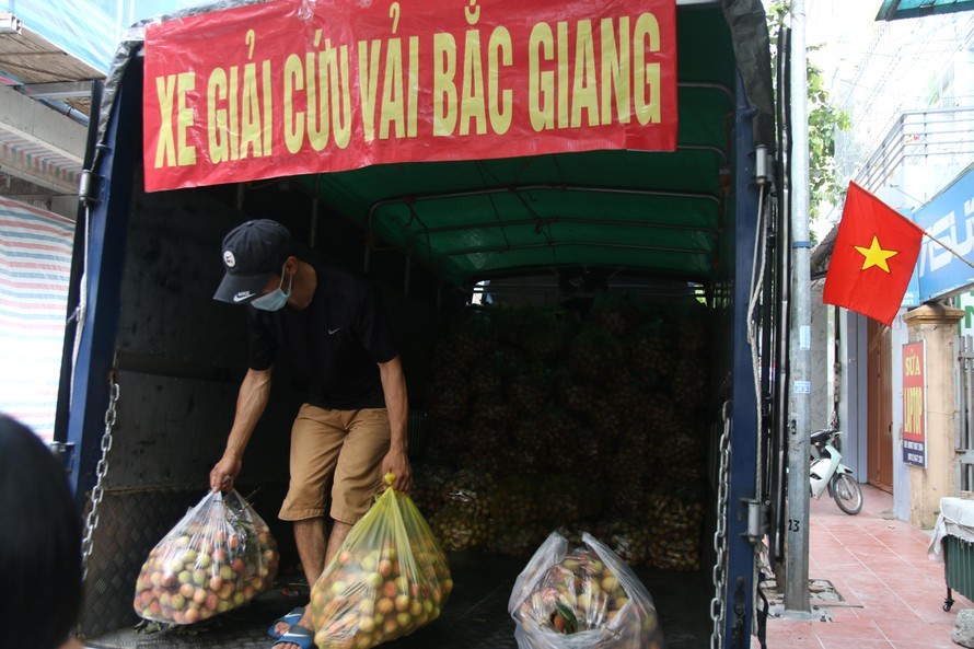 Đắk Nông tiêu thụ 3000 tấn vải ủng hộ Bắc Giang